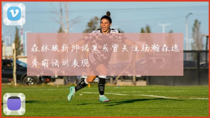 森林狼新帅诺里或曾关注杨瀚森选秀前试训表现