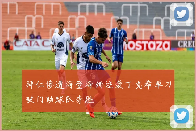 拜仁惨遭海登海姆逆袭丁克希单刀破门助球队夺胜